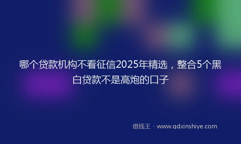 哪个贷款机构不看征信2025年精选，整合5个黑白贷款不是高炮的口子