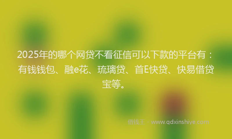 2025年的哪个网贷不看征信可以下款的平台有:有钱钱包、融e花、琉璃贷、首E快贷、快易借贷宝等。