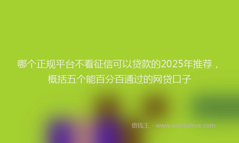 哪个正规平台不看征信可以贷款的2025年推荐，概括五个能百分百通过的网贷口子
