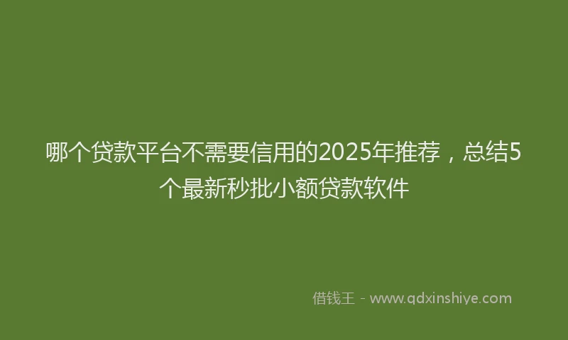 哪个贷款平台不需要信用的2025年推荐，总结5个最新秒批小额贷款软件