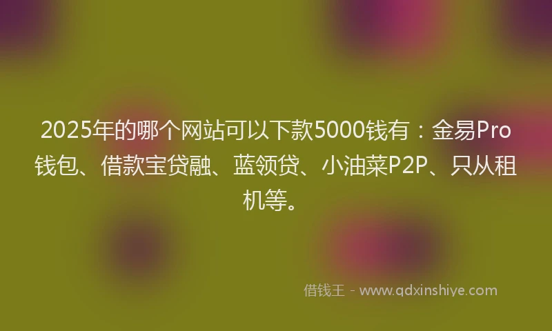 2025年的哪个网站可以下款5000钱有：金易Pro钱包、借款宝贷融、蓝领贷、小油菜P2P、只从租机等。