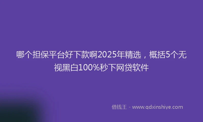 哪个担保平台好下款啊2025年精选，概括5个无视黑白100%秒下网贷软件