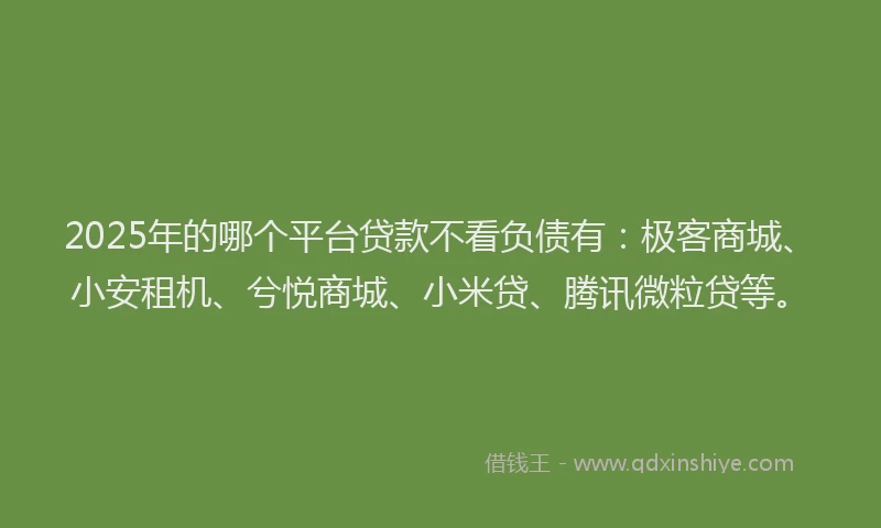 2025年的哪个平台贷款不看负债有：极客商城、小安租机、兮悦商城、小米贷、腾讯微粒贷等。
