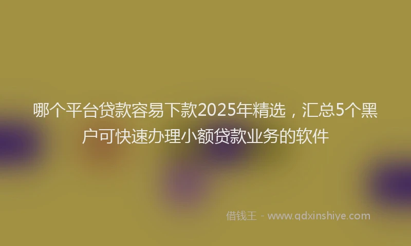 哪个平台贷款容易下款2025年精选，汇总5个黑户可快速办理小额贷款业务的软件