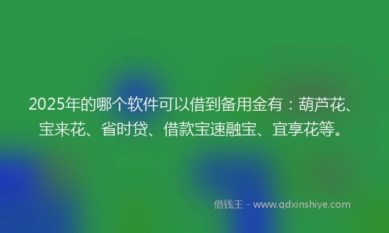 2025年的哪个软件可以借到备用金有：葫芦花、宝来花、省时贷、借款宝速融宝、宜享花等。