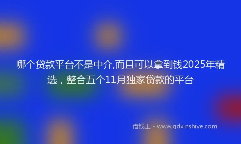 哪个贷款平台不是中介,而且可以拿到钱2025年精选，整合五个11月独家贷款的平台