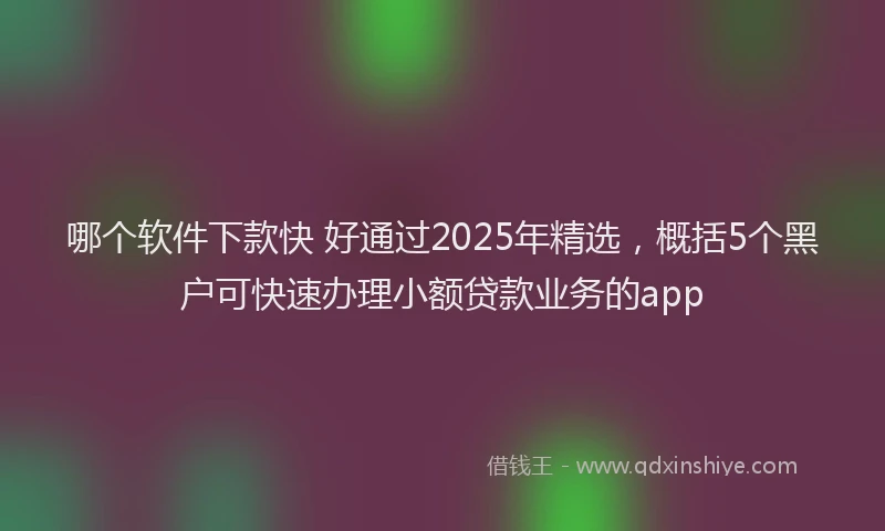 哪个软件下款快 好通过2025年精选，概括5个黑户可快速办理小额贷款业务的app