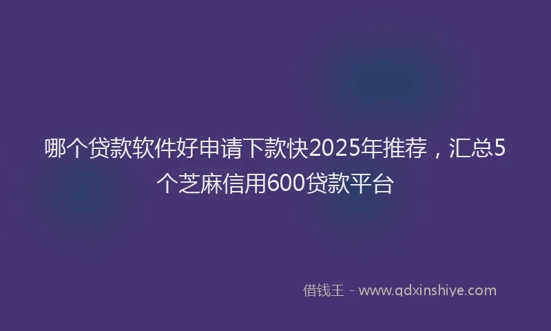 哪个贷款软件好申请下款快2025年推荐，汇总5个芝麻信用600贷款平台