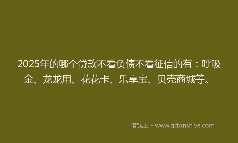 2025年的哪个贷款不看负债不看征信的有：呼吸金、龙龙用、花花卡、乐享宝、贝壳商城等。