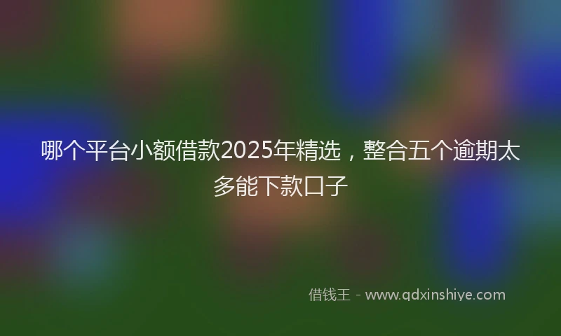 哪个平台小额借款2025年精选，整合五个逾期太多能下款口子