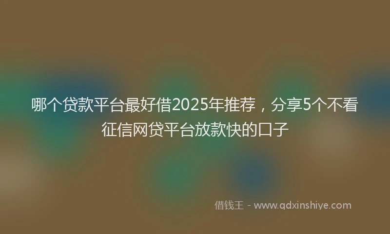 哪个贷款平台最好借2025年推荐，分享5个不看征信网贷平台放款快的口子