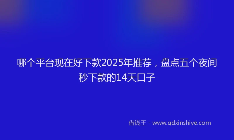 哪个平台现在好下款2025年推荐,盘点五个夜间秒下款的14天口子