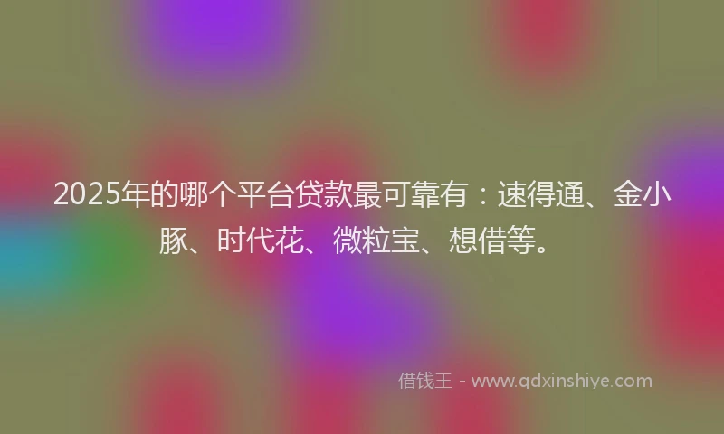 2025年的哪个平台贷款最可靠有：速得通、金小豚、时代花、微粒宝、想借等。