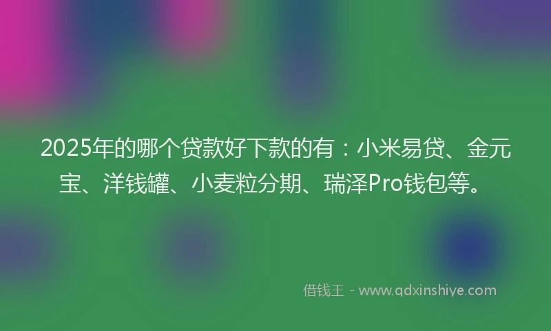 2025年的哪个贷款好下款的有：小米易贷、金元宝、洋钱罐、小麦粒分期、瑞泽Pro钱包等。