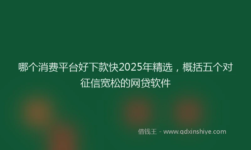 哪个消费平台好下款快2025年精选，概括五个对征信宽松的网贷软件
