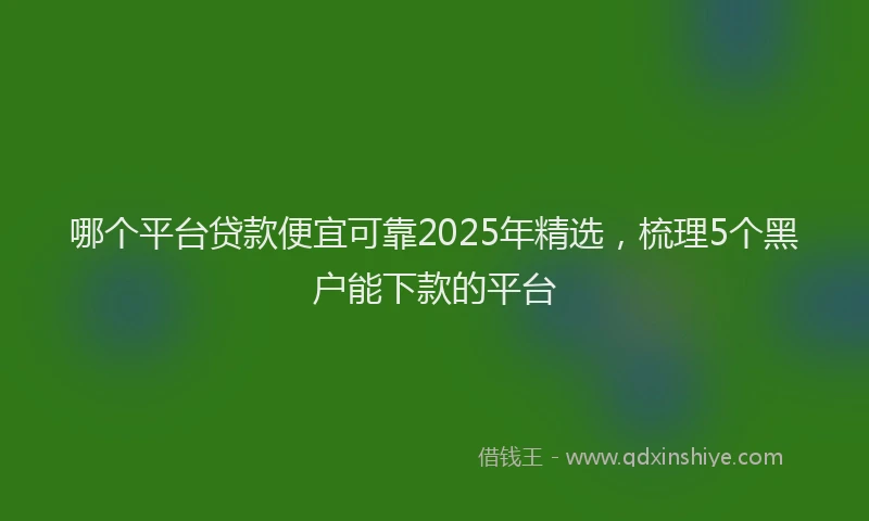 哪个平台贷款便宜可靠2025年精选，梳理5个黑户能下款的平台