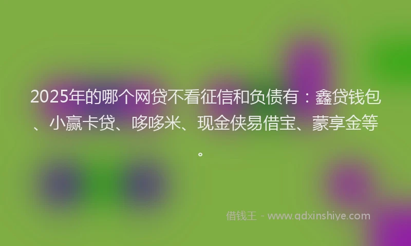 2025年的哪个网贷不看征信和负债有：鑫贷钱包、小赢卡贷、哆哆米、现金侠易借宝、蒙享金等。