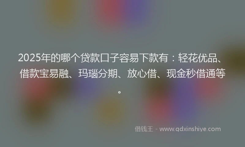 2025年的哪个贷款口子容易下款有：轻花优品、借款宝易融、玛瑙分期、放心借、现金秒借通等。