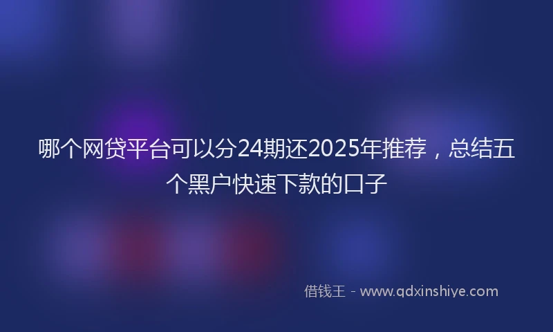 哪个网贷平台可以分24期还2025年推荐,总结五个黑户快速下款的口子