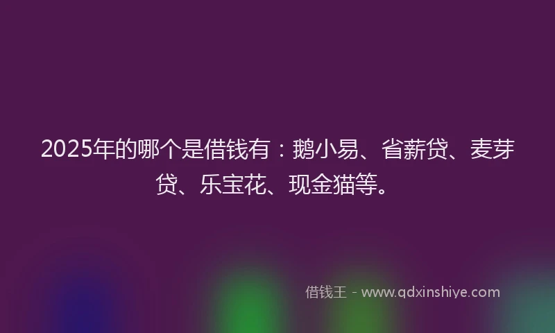 2025年的哪个是借钱有：鹅小易、省薪贷、麦芽贷、乐宝花、现金猫等。