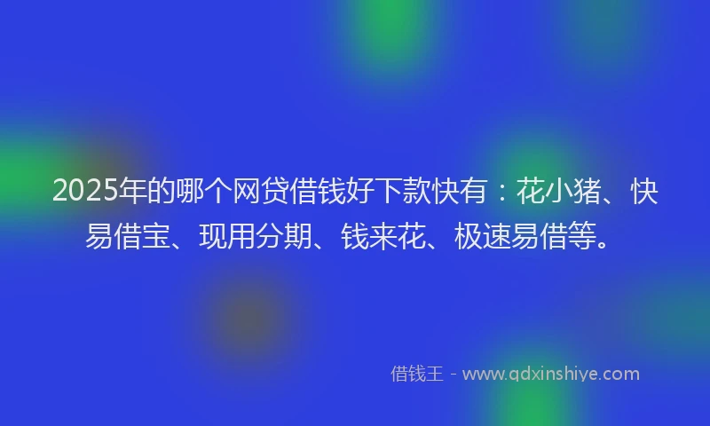 2025年的哪个网贷借钱好下款快有：花小猪、快易借宝、现用分期、钱来花、极速易借等。
