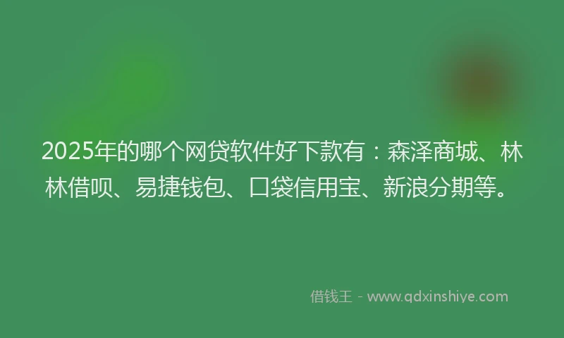 2025年的哪个网贷软件好下款有：森泽商城、林林借呗、易捷钱包、口袋信用宝、新浪分期等。