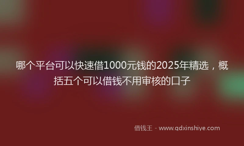 哪个平台可以快速借1000元钱的2025年精选，概括五个可以借钱不用审核的口子