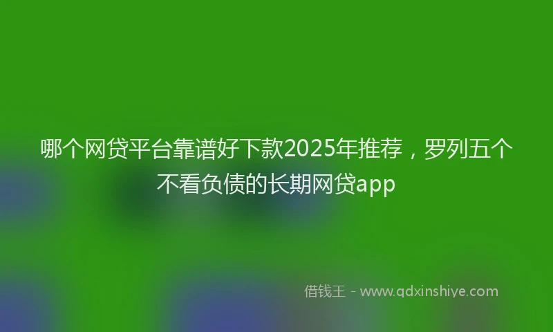 哪个网贷平台靠谱好下款2025年推荐，罗列五个不看负债的长期网贷app