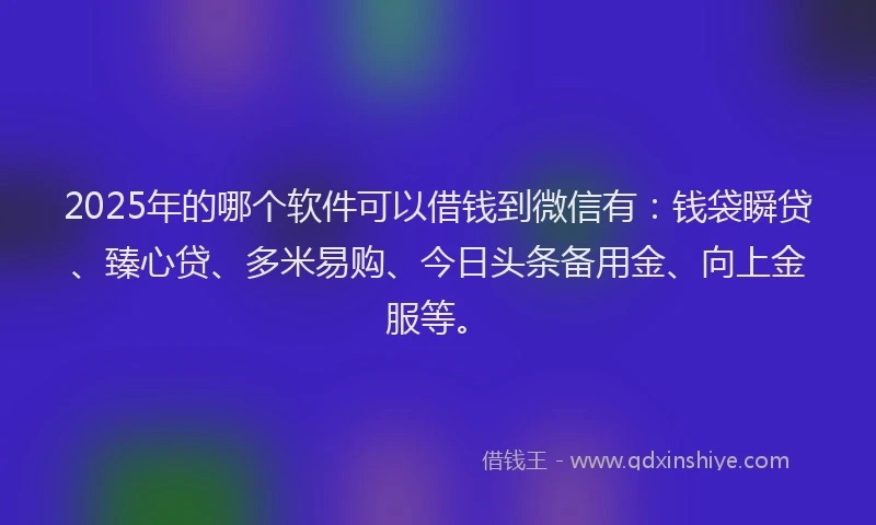 2025年的哪个软件可以借钱到微信有：钱袋瞬贷、臻心贷、多米易购、今日头条备用金、向上金服等。