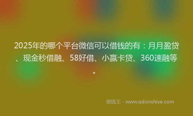 2025年的哪个平台微信可以借钱的有：月月盈贷、现金秒借融、58好借、小赢卡贷、360速融等。
