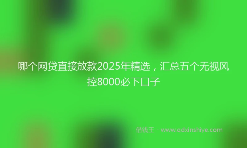 哪个网贷直接放款2025年精选，汇总五个无视风控8000必下口子
