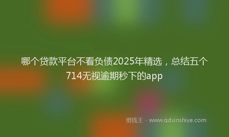 哪个贷款平台不看负债2025年精选，总结五个714无视逾期秒下的app