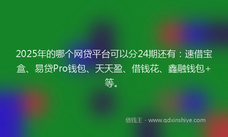 2025年的哪个网贷平台可以分24期还有：速借宝盒、易贷Pro钱包、天天盈、借钱花、鑫融钱包+等。
