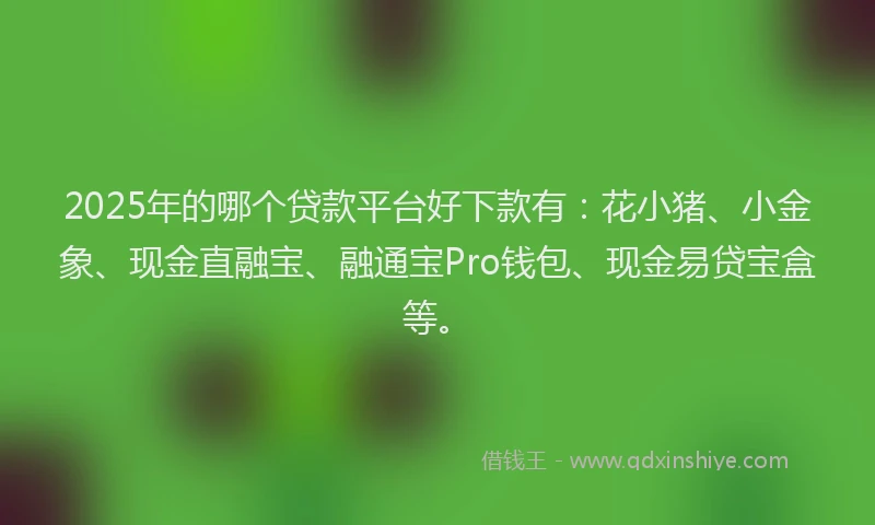 2025年的哪个贷款平台好下款有：花小猪、小金象、现金直融宝、融通宝Pro钱包、现金易贷宝盒等。