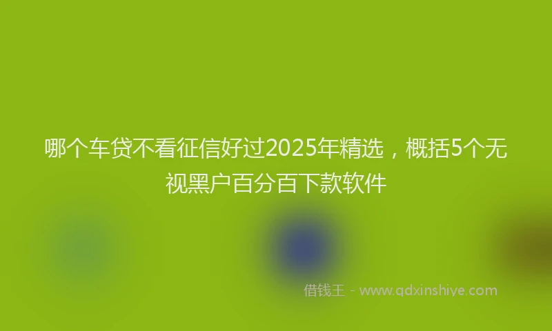 哪个车贷不看征信好过2025年精选，概括5个无视黑户百分百下款软件
