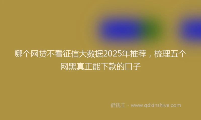 哪个网贷不看征信大数据2025年推荐，梳理五个网黑真正能下款的口子