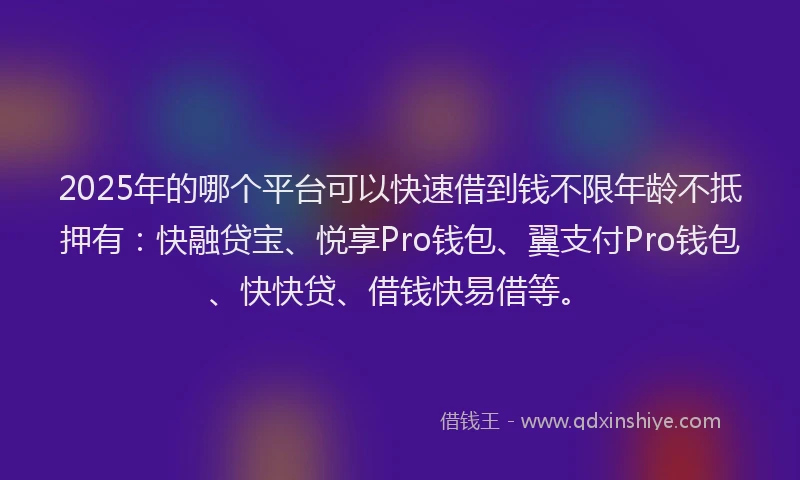 2025年的哪个平台可以快速借到钱不限年龄不抵押有：快融贷宝、悦享Pro钱包、翼支付Pro钱包、快快贷、借钱快易借等。