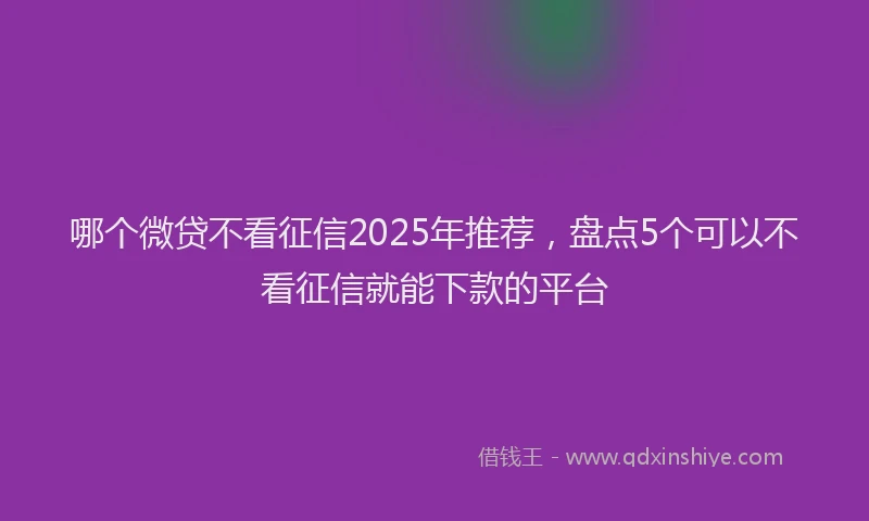 哪个微贷不看征信2025年推荐，盘点5个可以不看征信就能下款的平台