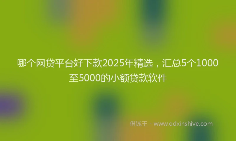 哪个网贷平台好下款2025年精选，汇总5个1000至5000的小额贷款软件