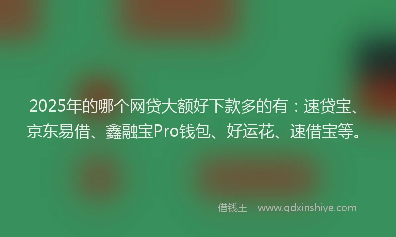 2025年的哪个网贷大额好下款多的有：速贷宝、京东易借、鑫融宝Pro钱包、好运花、速借宝等。