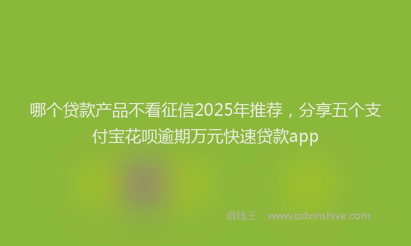 哪个贷款产品不看征信2025年推荐，分享五个支付宝花呗逾期万元快速贷款app
