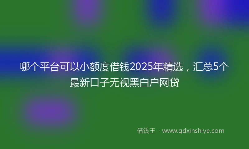 哪个平台可以小额度借钱2025年精选,汇总5个最新口子无视黑白户网贷