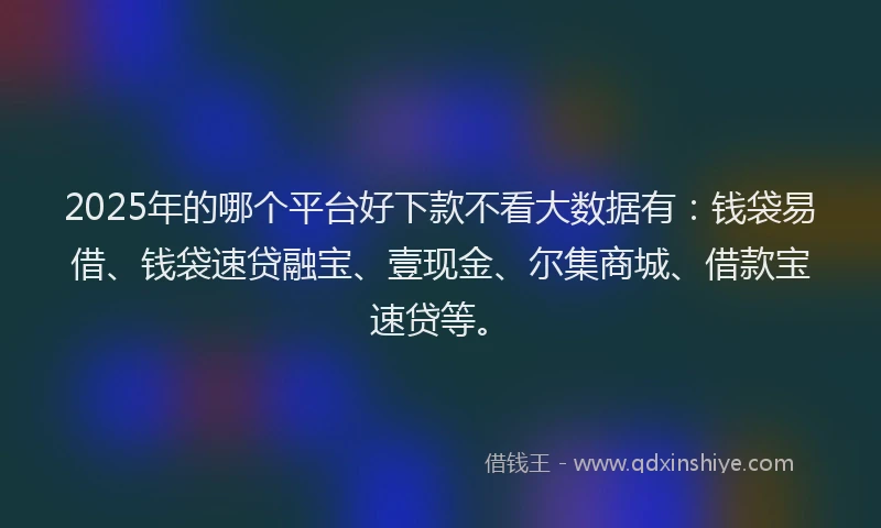 2025年的哪个平台好下款不看大数据有:钱袋易借、钱袋速贷融宝、壹现金、尔集商城、借款宝速贷等。