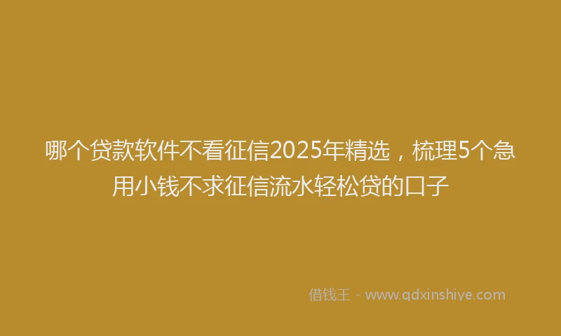 哪个贷款软件不看征信2025年精选，梳理5个急用小钱不求征信流水轻松贷的口子
