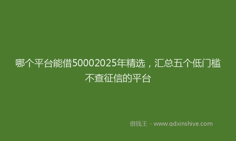 哪个平台能借50002025年精选,汇总五个低门槛不查征信的平台