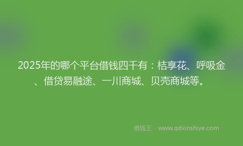 2025年的哪个平台借钱四千有:桔享花、呼吸金、借贷易融途、一川商城、贝壳商城等。