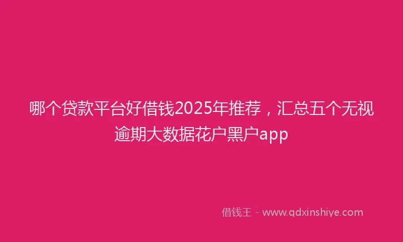 哪个贷款平台好借钱2025年推荐，汇总五个无视逾期大数据花户黑户app