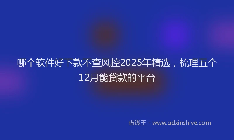 哪个软件好下款不查风控2025年精选，梳理五个12月能贷款的平台