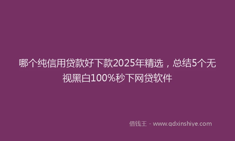 哪个纯信用贷款好下款2025年精选，总结5个无视黑白100%秒下网贷软件