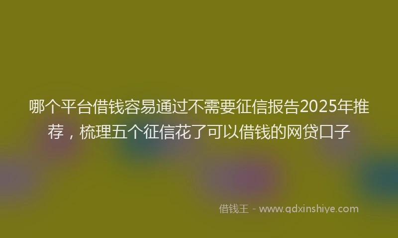 哪个平台借钱容易通过不需要征信报告2025年推荐，梳理五个征信花了可以借钱的网贷口子